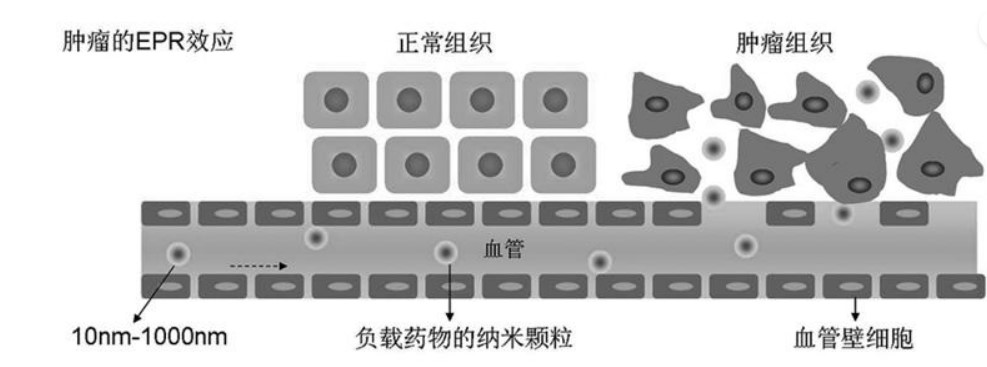 癌症之王-胰腺癌的药物伊立替康脂质体的优势(图3)