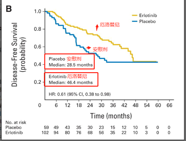 厄洛替尼治疗非小细胞肺癌，无病生存期高达50.5个月！(图4)