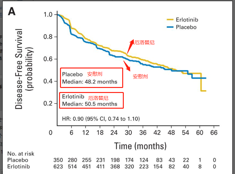 厄洛替尼治疗非小细胞肺癌，无病生存期高达50.5个月！(图3)