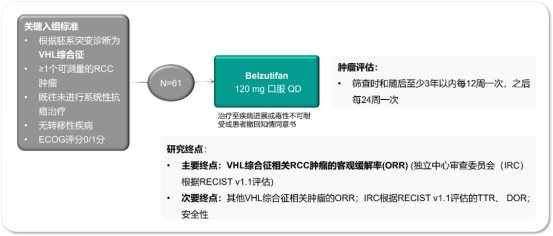 2023ASCO肾癌研究新进展汇总---靶免联合方案一线首选(图6)