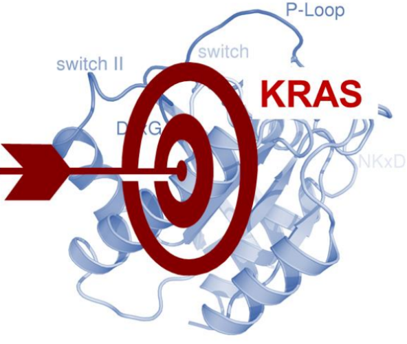 靶向KRAS突变示意图