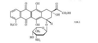 注射用盐酸多柔比星(图1)