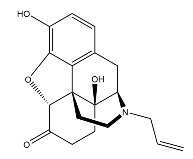 纳洛酮化学式.png