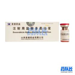 中国山西普德药业的注射用盐酸多柔比星