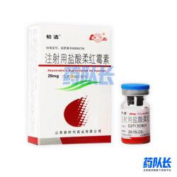 中国山东新时代药业的注射用盐酸柔红霉素